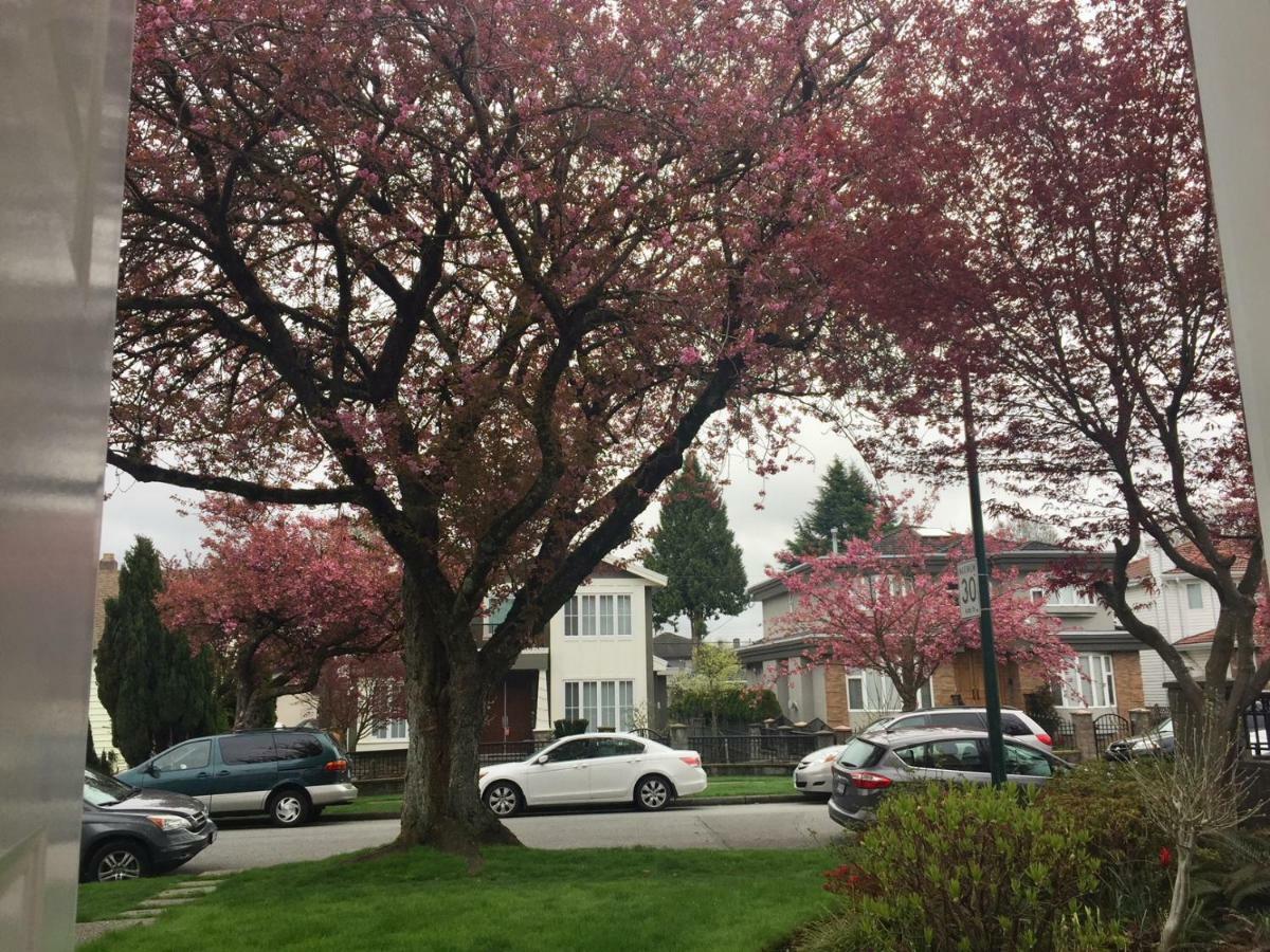 Lee Home Vancouver Exterior photo